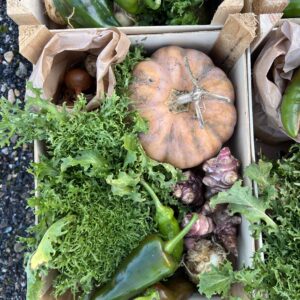 Rijk herfst abonnement 2026